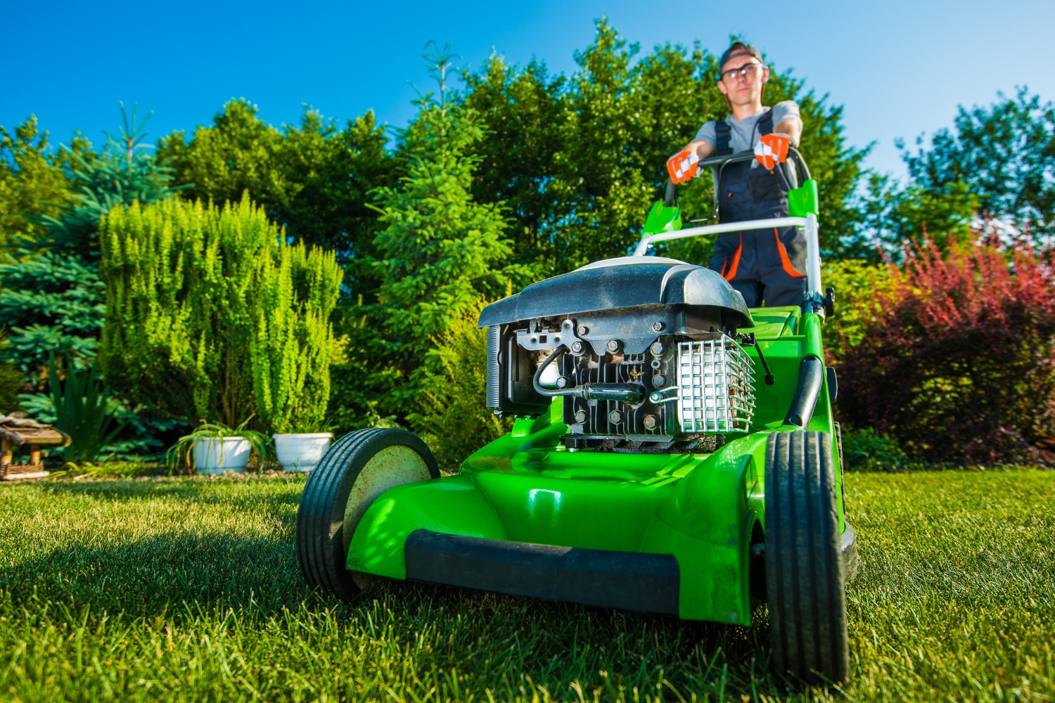 Professional Landscaping Services